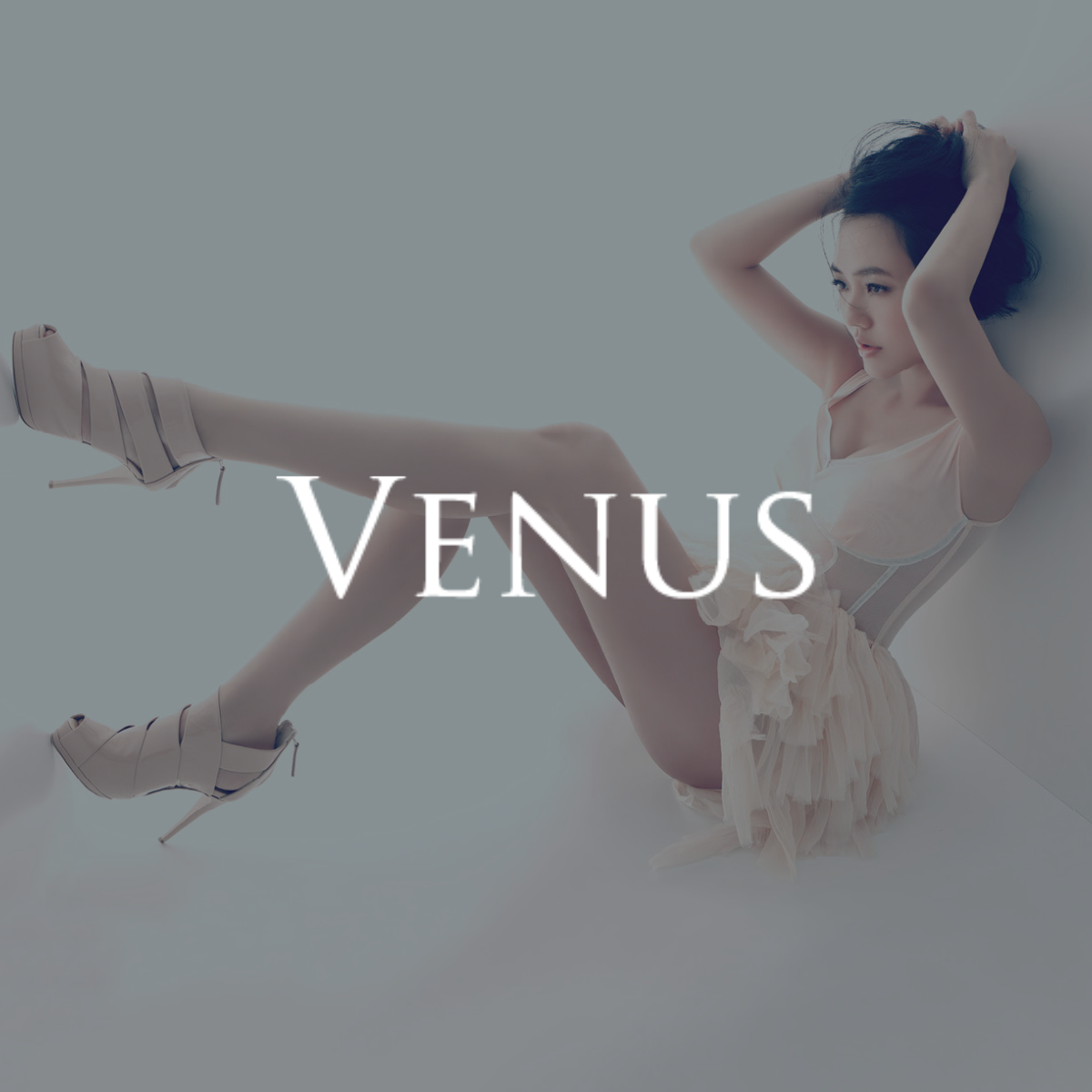 維娜斯 VENUS