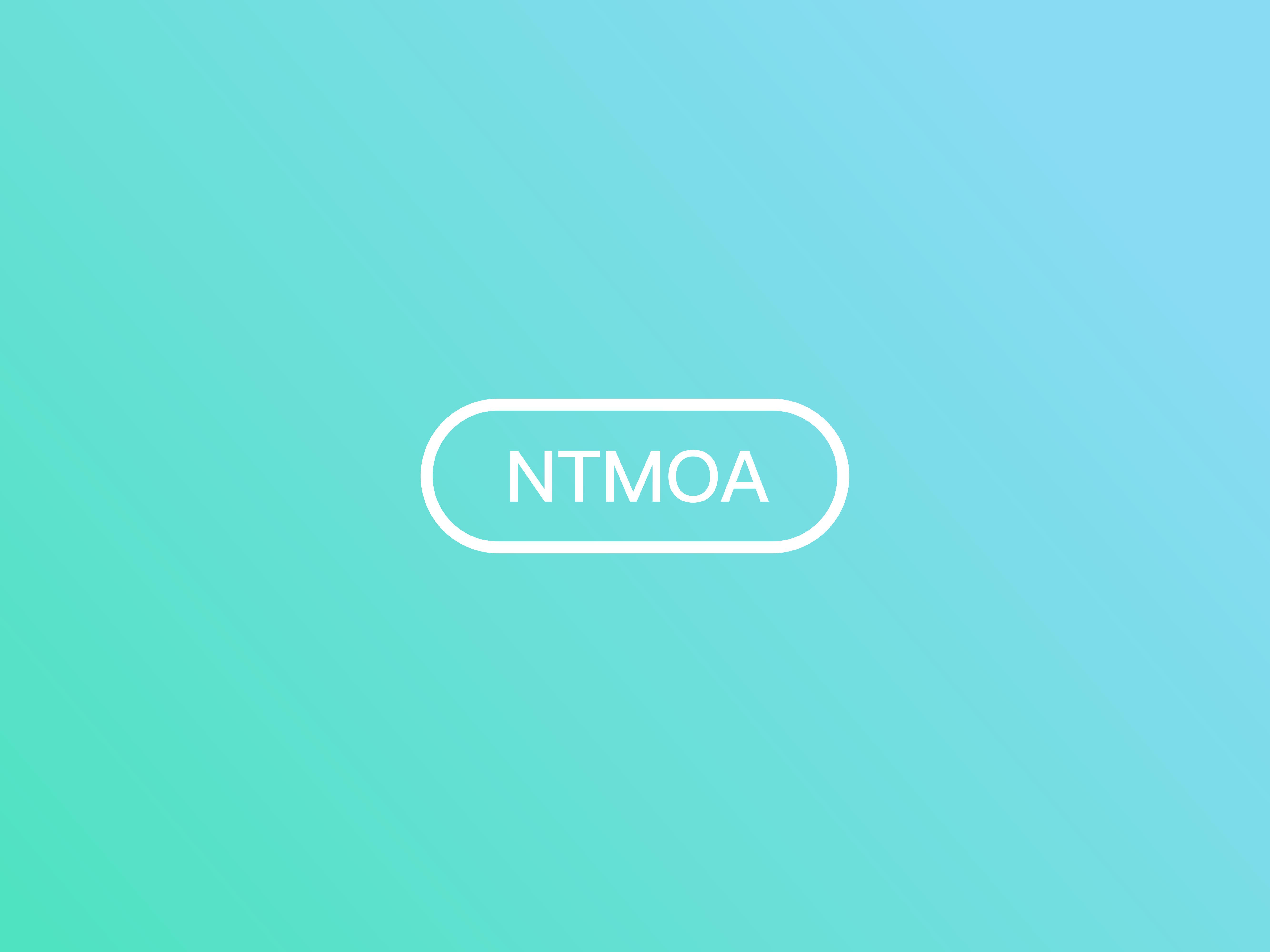 NTCAM 01
