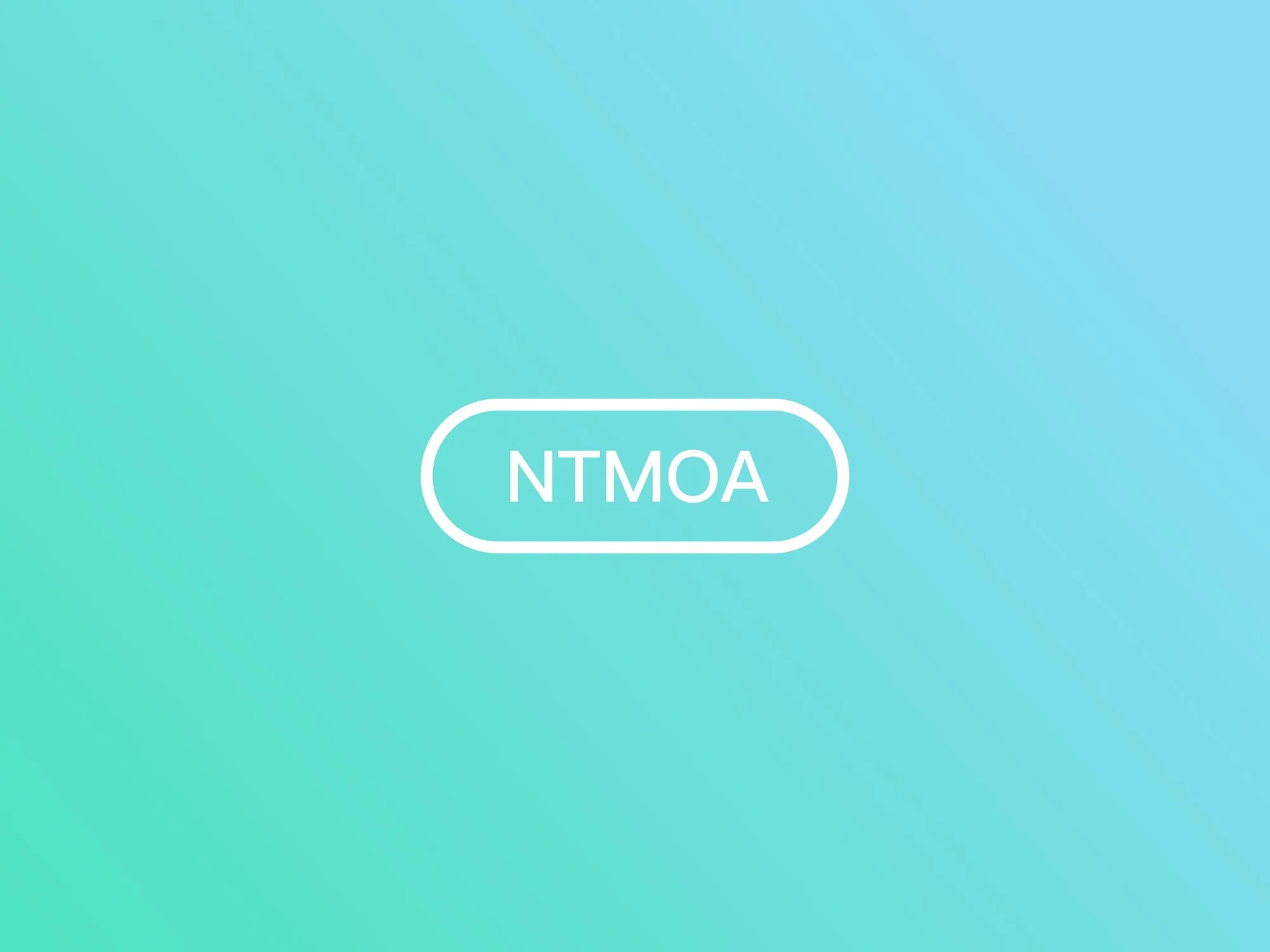 NTCAM 01